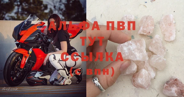 спиды Абаза