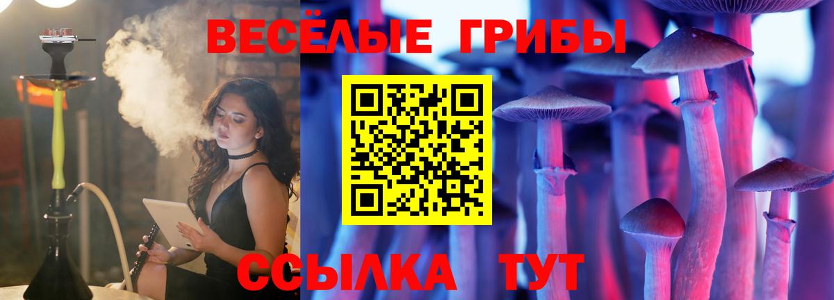 Псилоцибиновые грибы GOLDEN TEACHER Симферополь