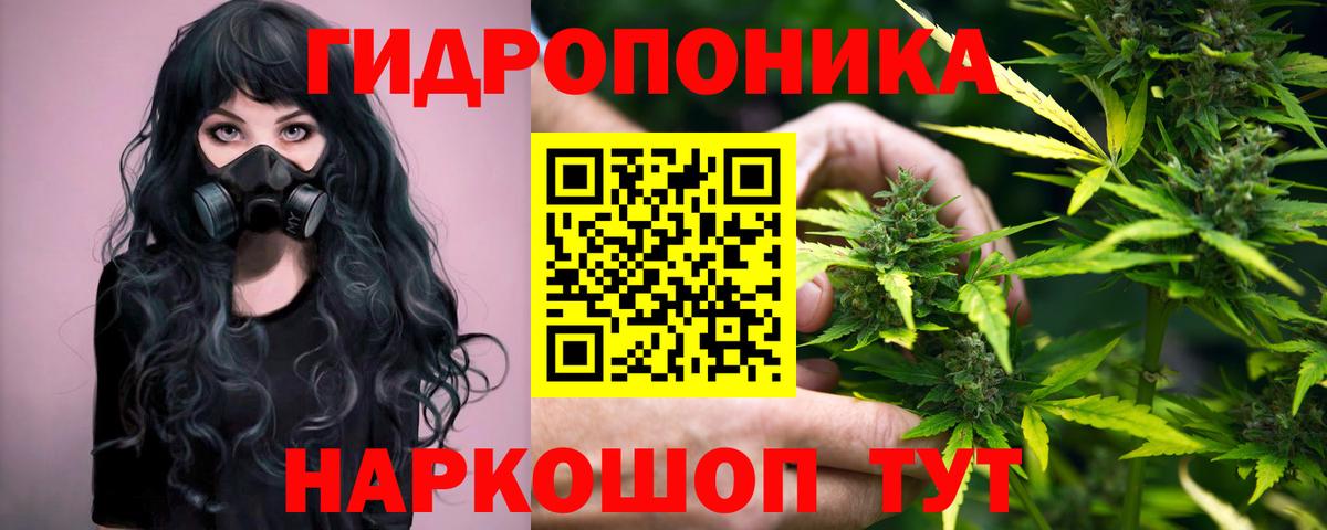 Симферополь  МАРИХУАНА ГИДРОПОН  Марихуана OG Kush  Вход с VPN  Конопля индика 