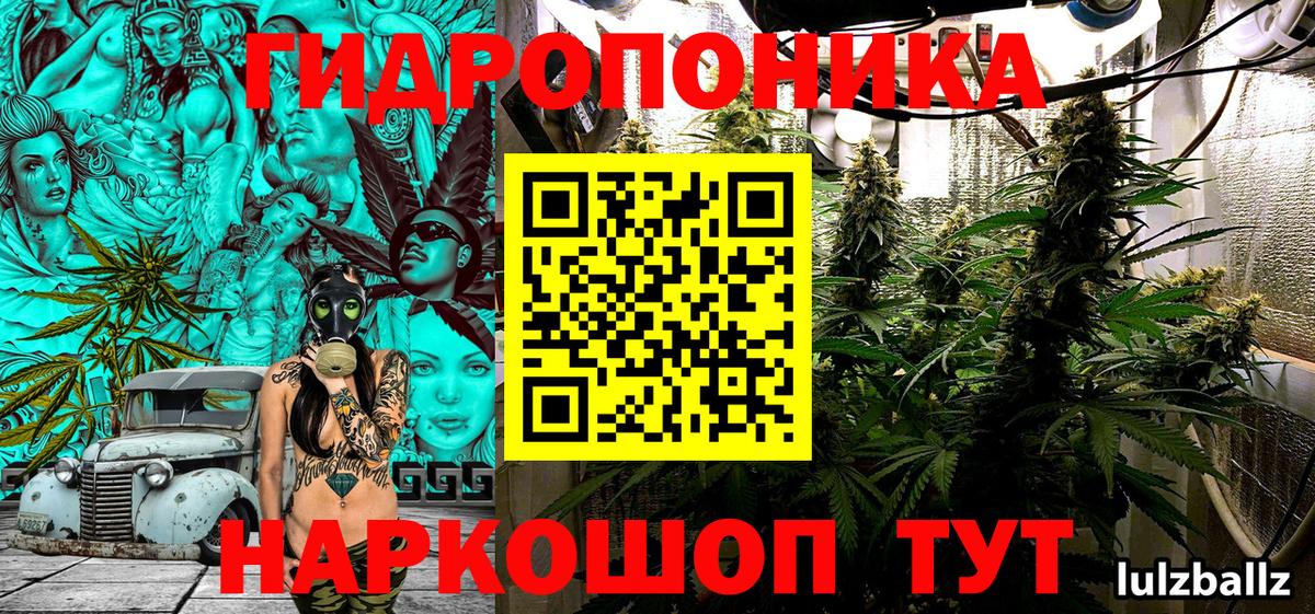Бошки Шишки марихуана Симферополь